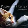 Kattungar i farten