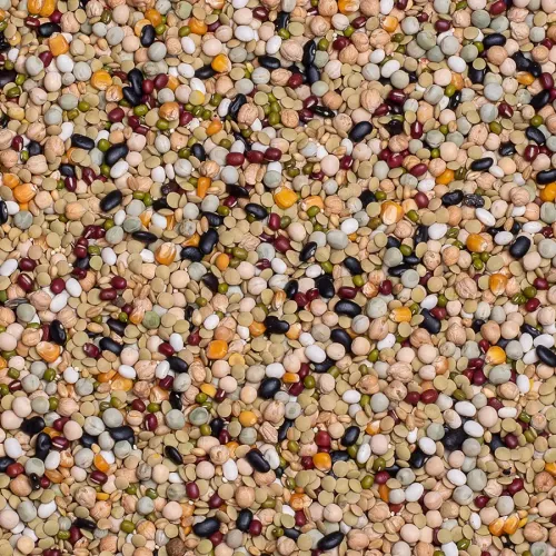 Matlagningsmix för papegojor och stora parakiter 1kg
