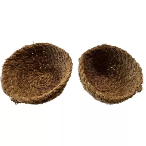 Nästinlägg kokos 12cm