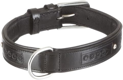 Läderhalsband Canduro