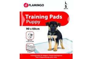 Träningsmatta Large