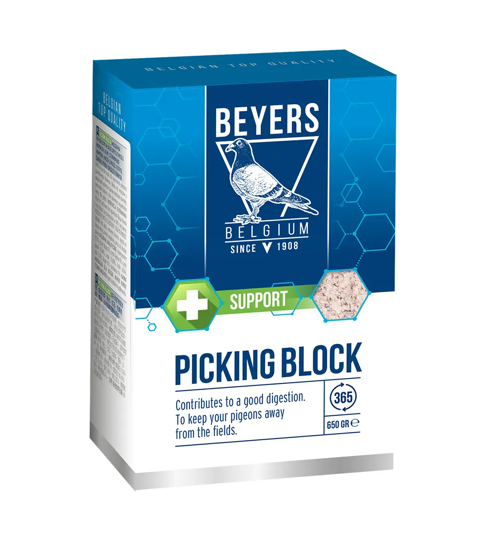 Lerblock till duvor