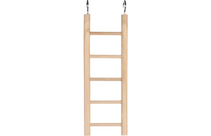 Liten stege till småfåglar
