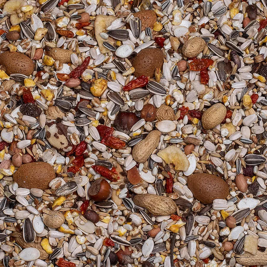 Birdelicious Lyxig nöt till Papegoja 750g