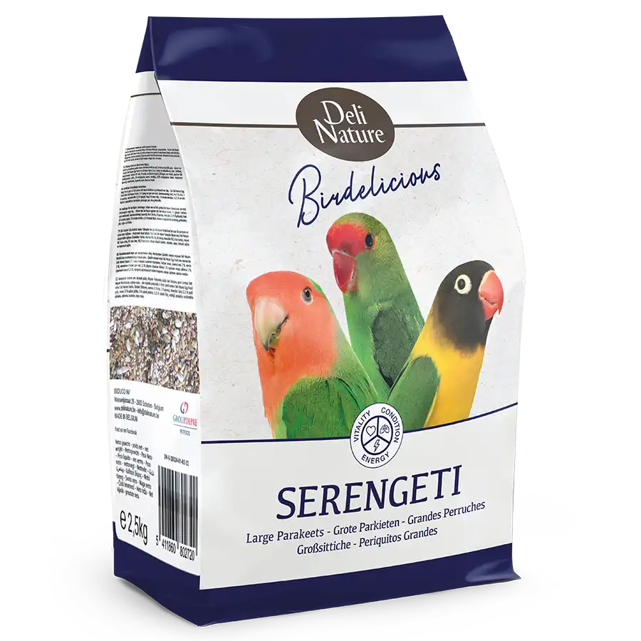 Birdelicious Agapornis