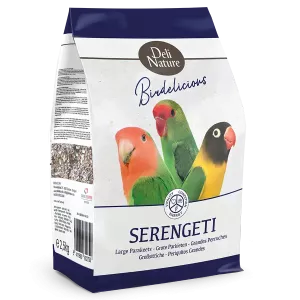 Birdelicious Agapornis