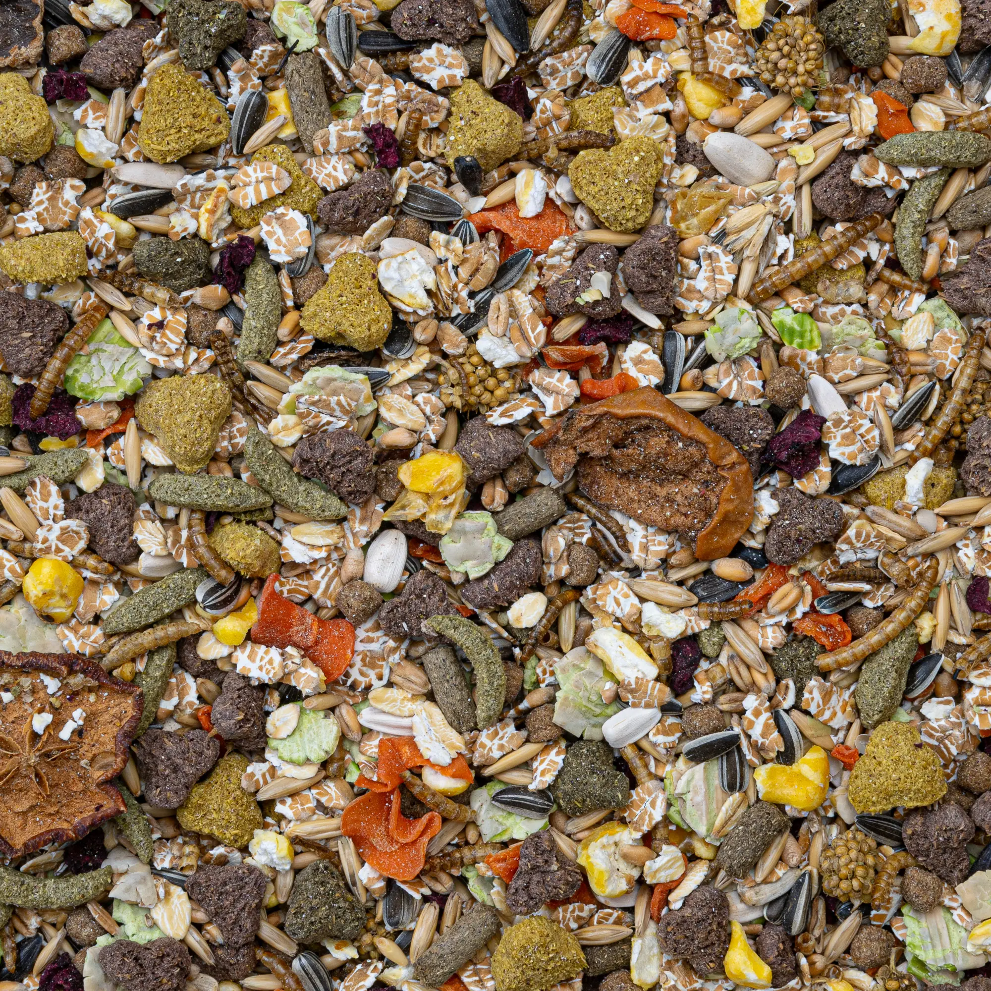 Rodelicious råttor 2,5 kg