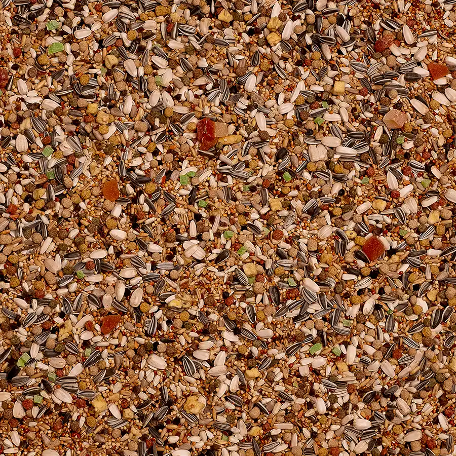 Birdelicious Parakit