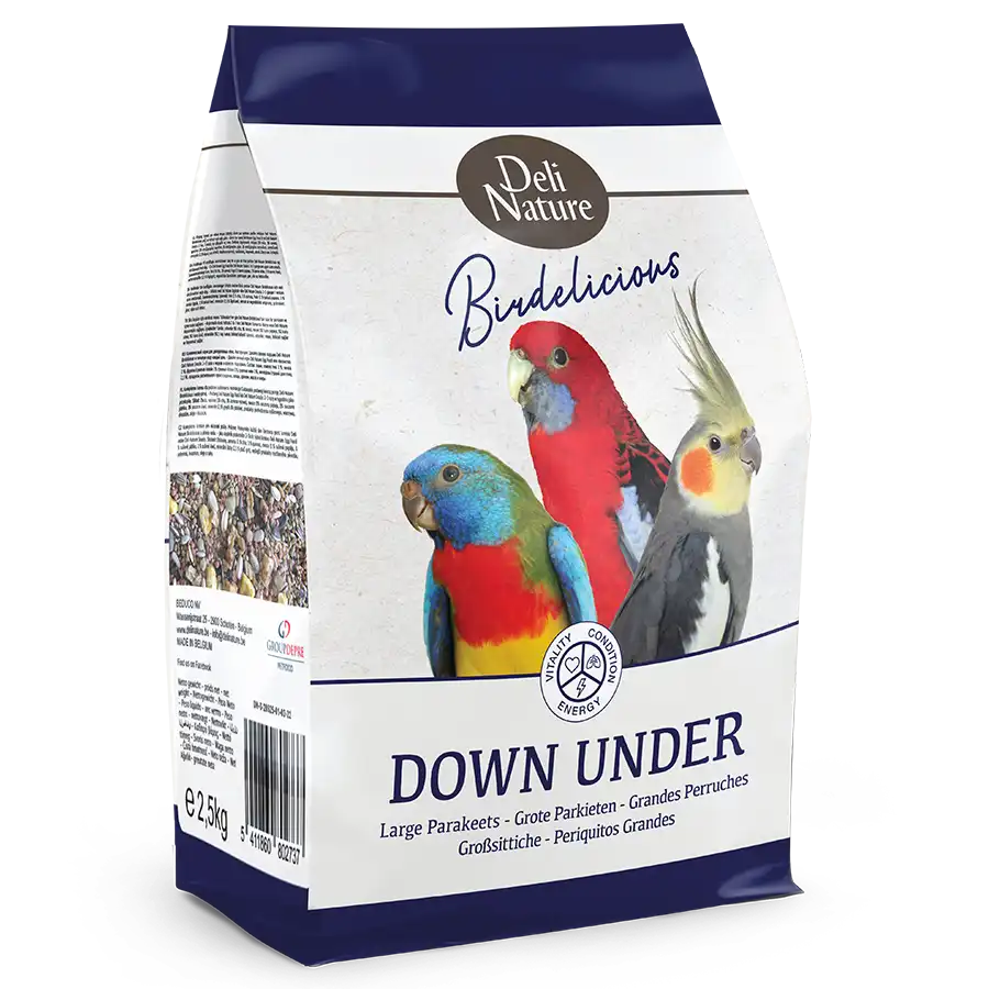 Birdelicious Parakit