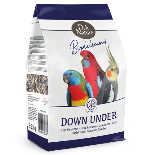 Birdelicious Parakit