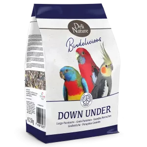 Birdelicious Parakit
