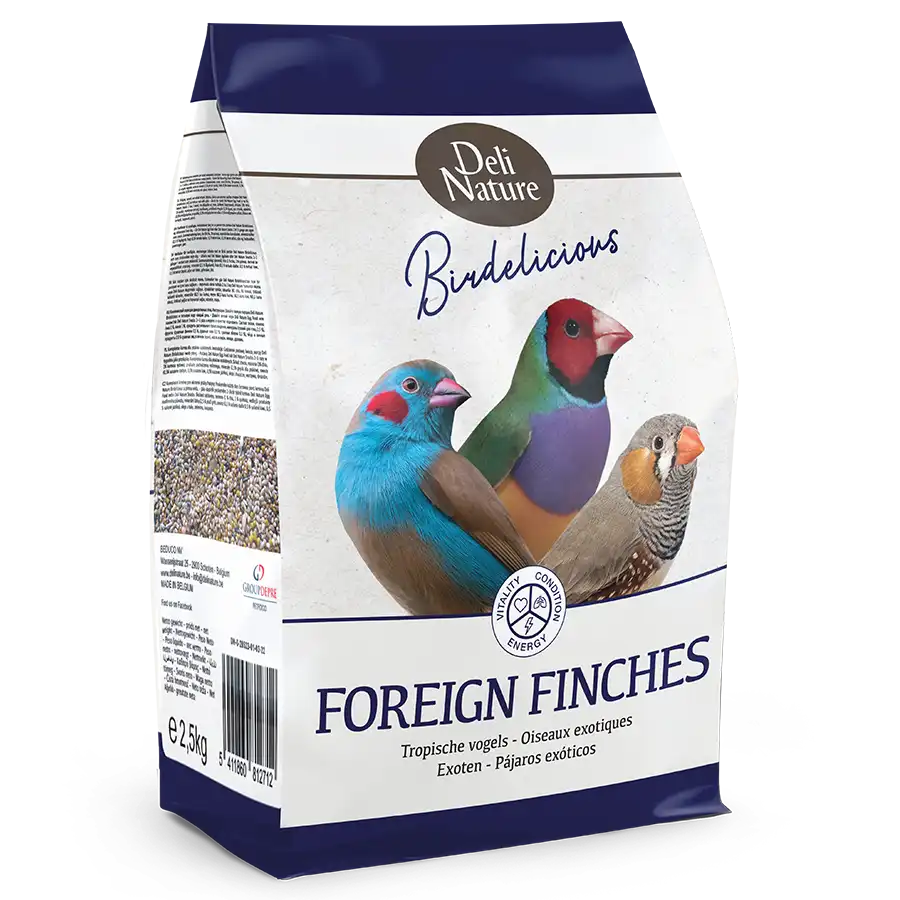 Birdelicious Fink