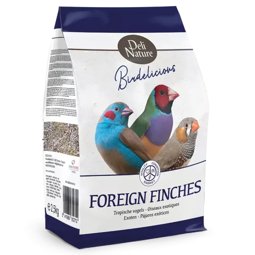 Birdelicious Fink