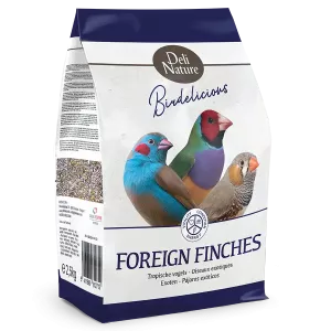 Birdelicious Fink
