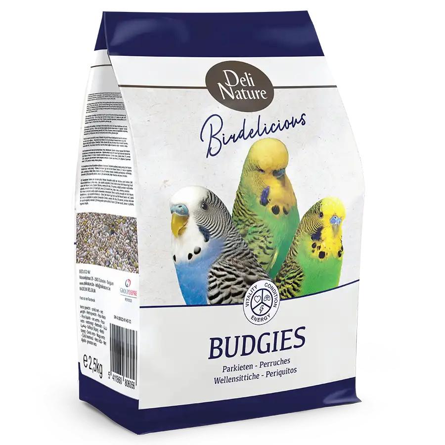 Birdelicious Undulat