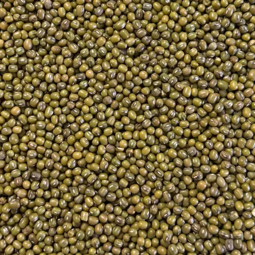 Mungbönor 1,5 kg
