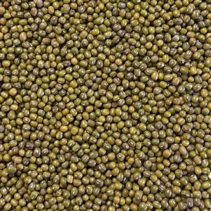 Mungbönor 1,5 kg