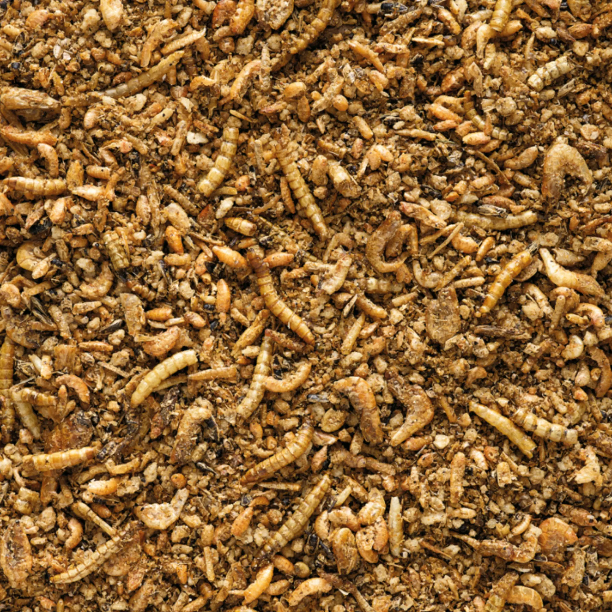 Orlux Insekt Patee Premium