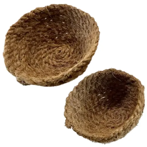 Nästinlägg kokos 10 - 12 cm
