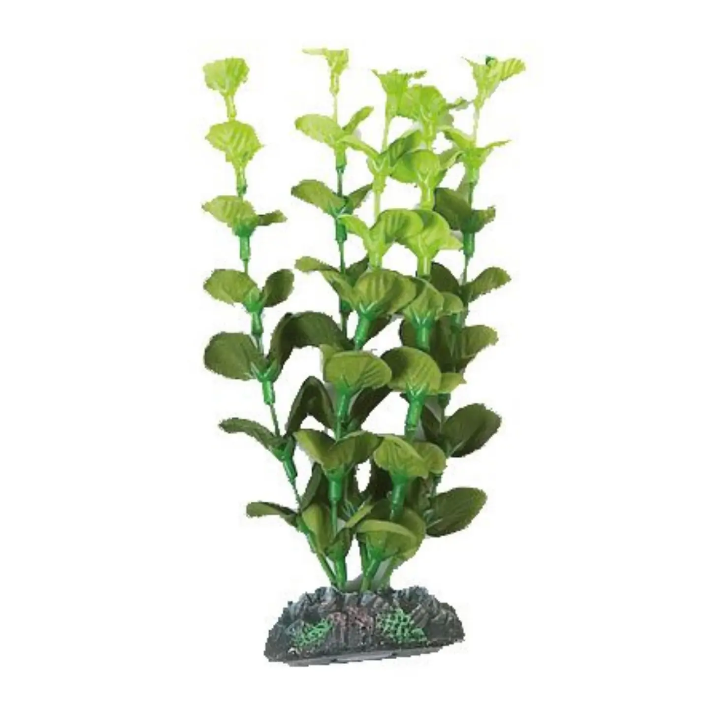 Dekoration växt Brasil no. 2