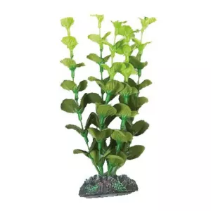 Dekoration växt Brasil no. 2