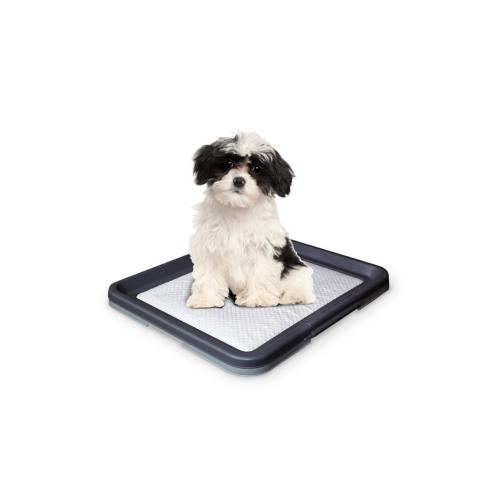 Doggy-Trainer valpträningsmatta