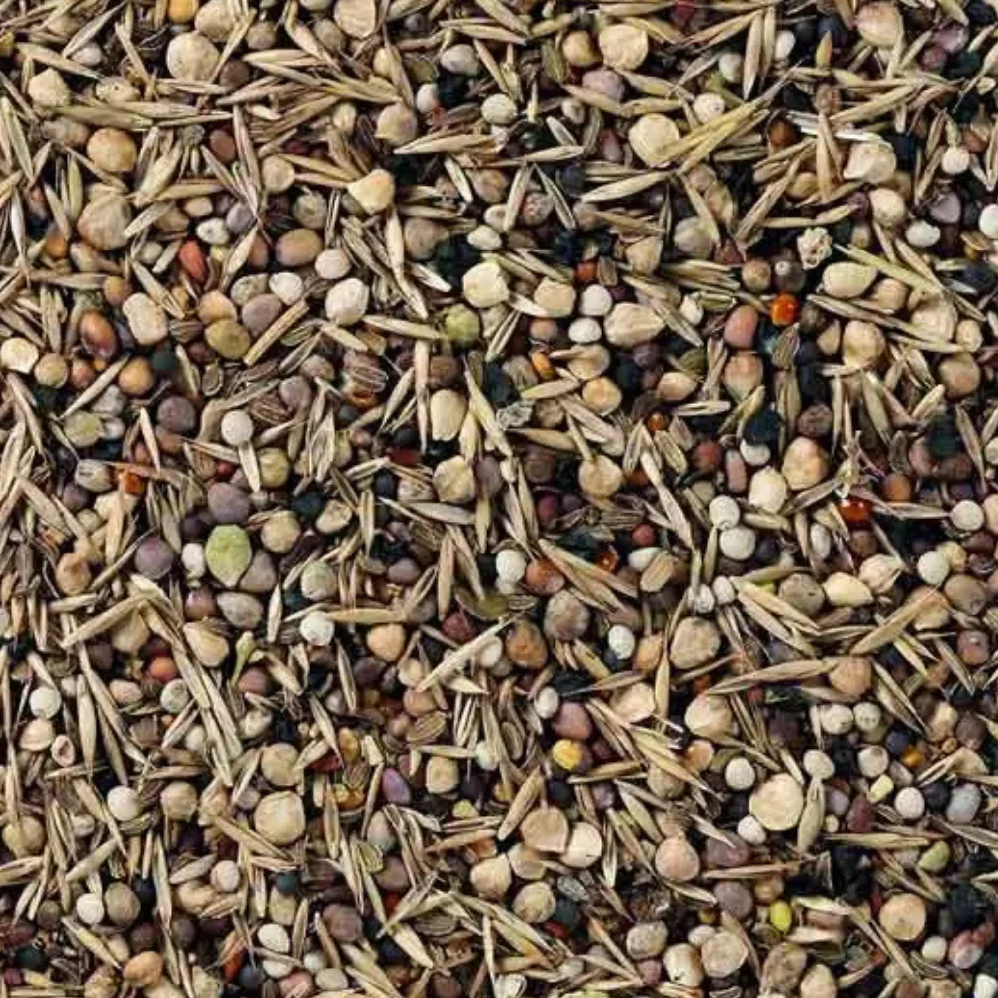 Ogräsfrö för småfåglar