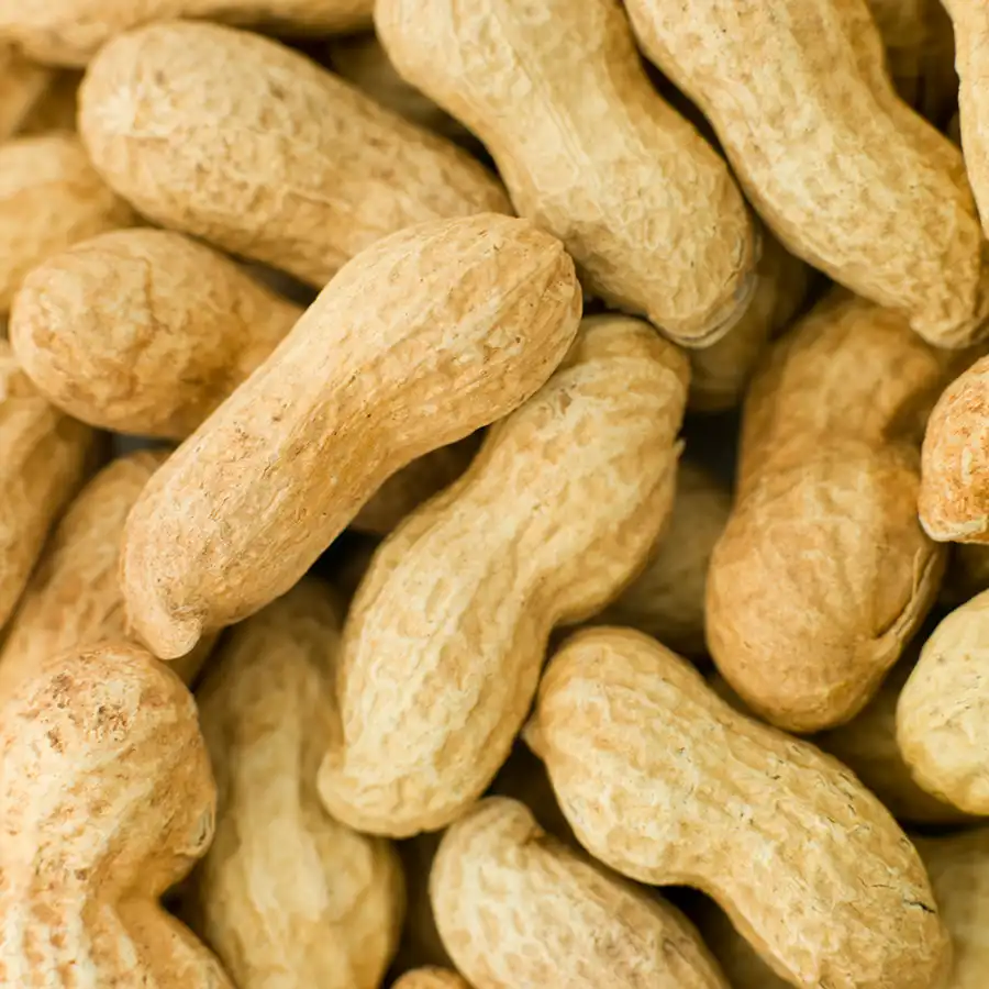 Oskalade hela jordnötter klass1