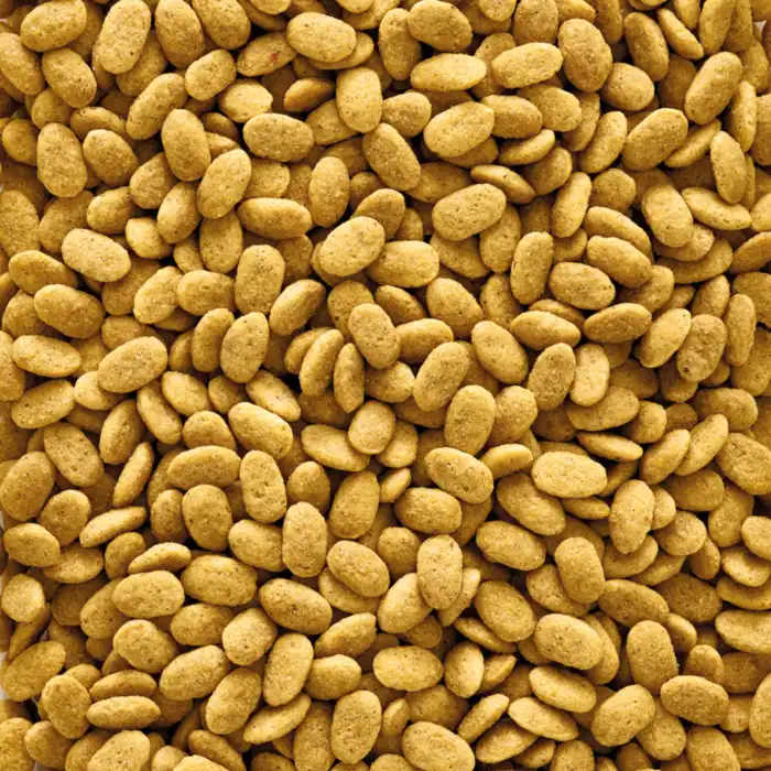 Nutribird P15 Original pellets