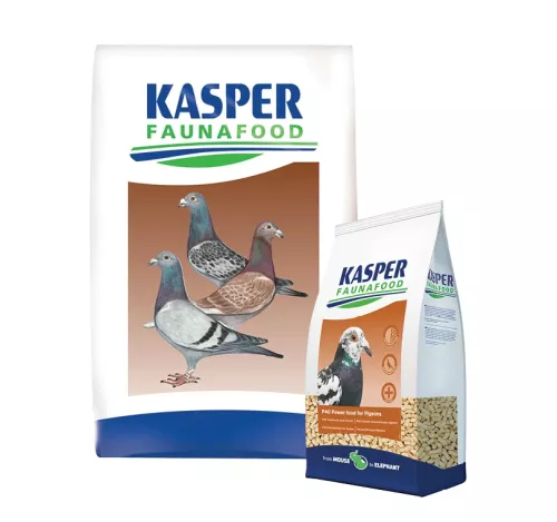 Kasper P40 pellets till duvor som presterar i tävling eller under avel