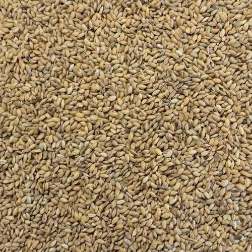 Paddyris 1,2kg