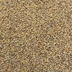 Paddyris 1,5kg