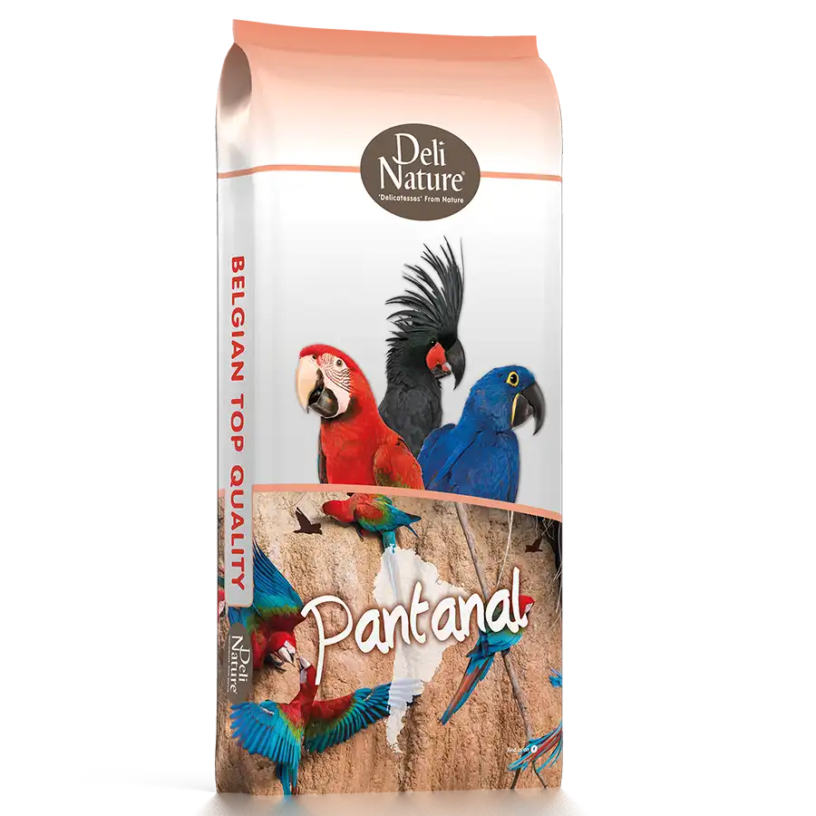 23 - Pantanal Papegojblandning