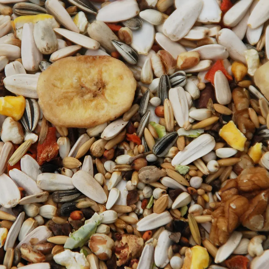 57 - Papegojblandning Excellent