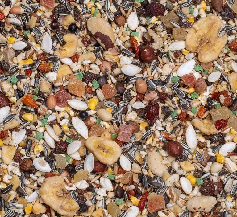 25 - Papegojblandning Xtra allt