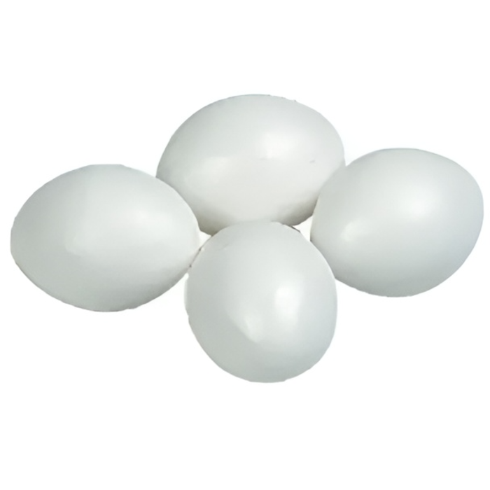 Stora plastägg till parakiter