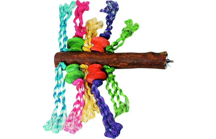 Pinne med rep till papegojor och parakiter