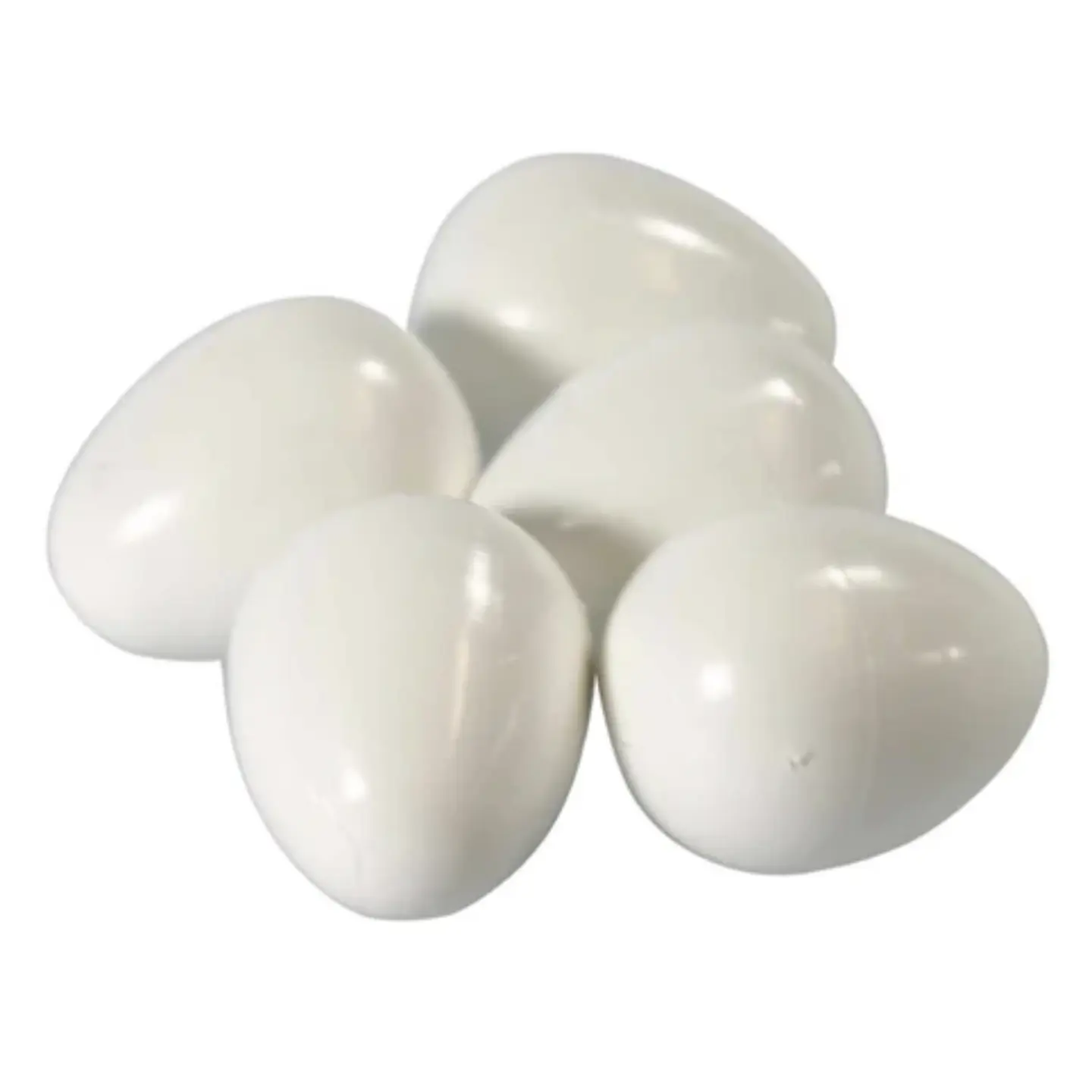 Plastägg för Undulater