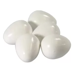 Plastägg för Undulater