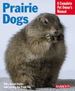 PRAIRIE%20DOGS2