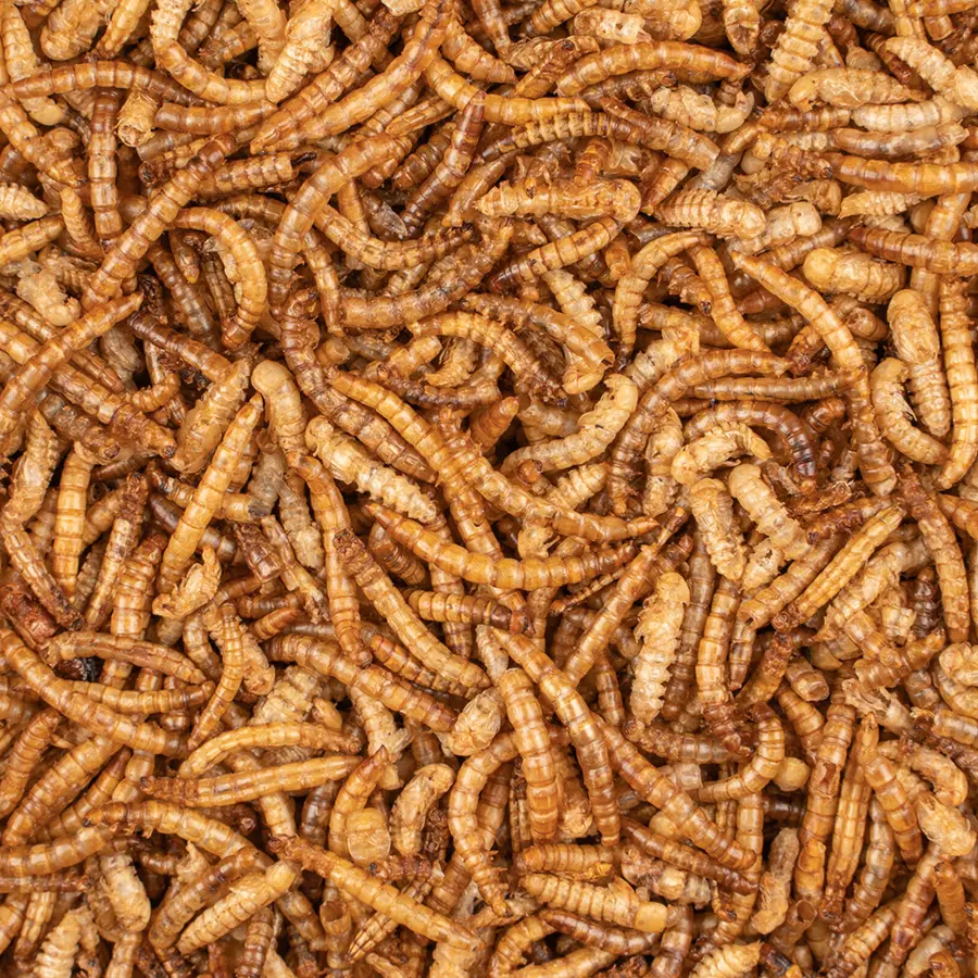 Mjölmask premium 700 gram