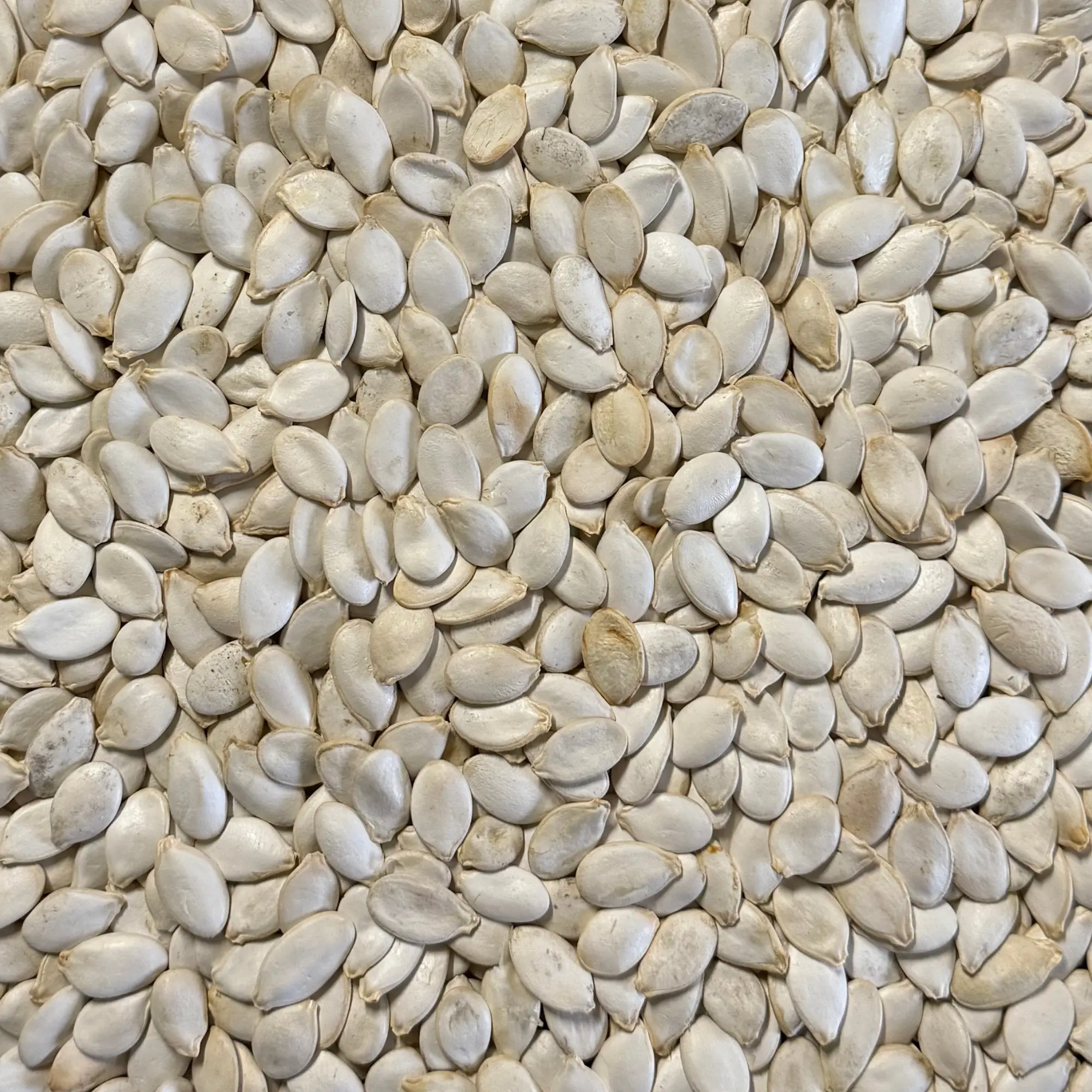 Pumpafrön premium 500 g