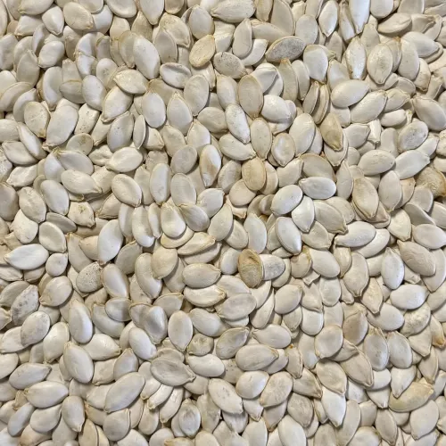 Pumpafrön premium 500 g