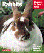 RABBITS2