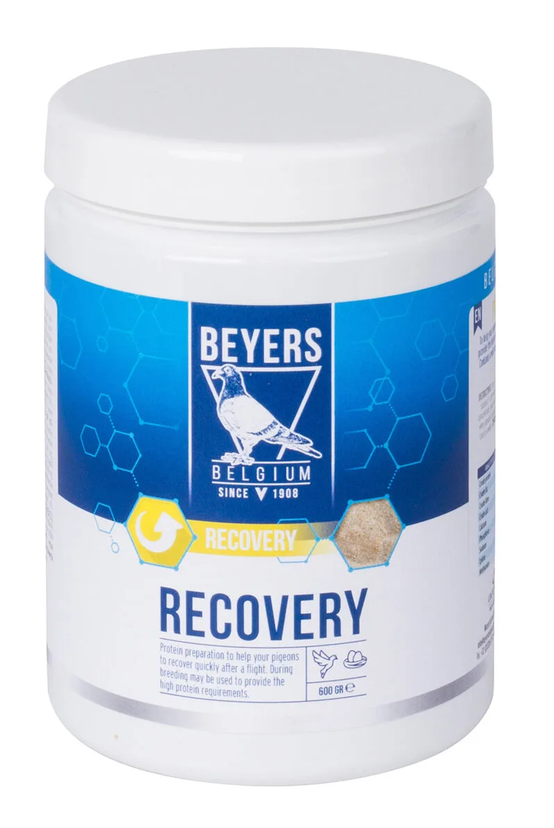 Recovery Proteinberedning