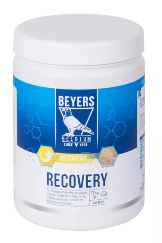 Recovery Proteinberedning