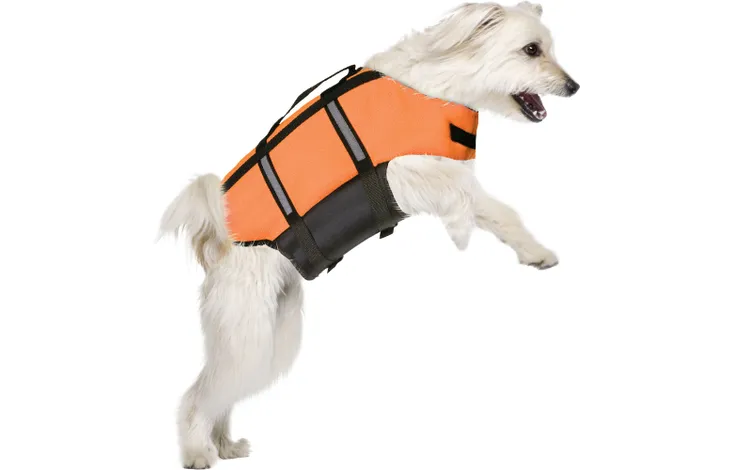 Hund med flytväst – exempel på hur västen sitter på kroppen