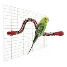 Bomullsrep till undulatbur