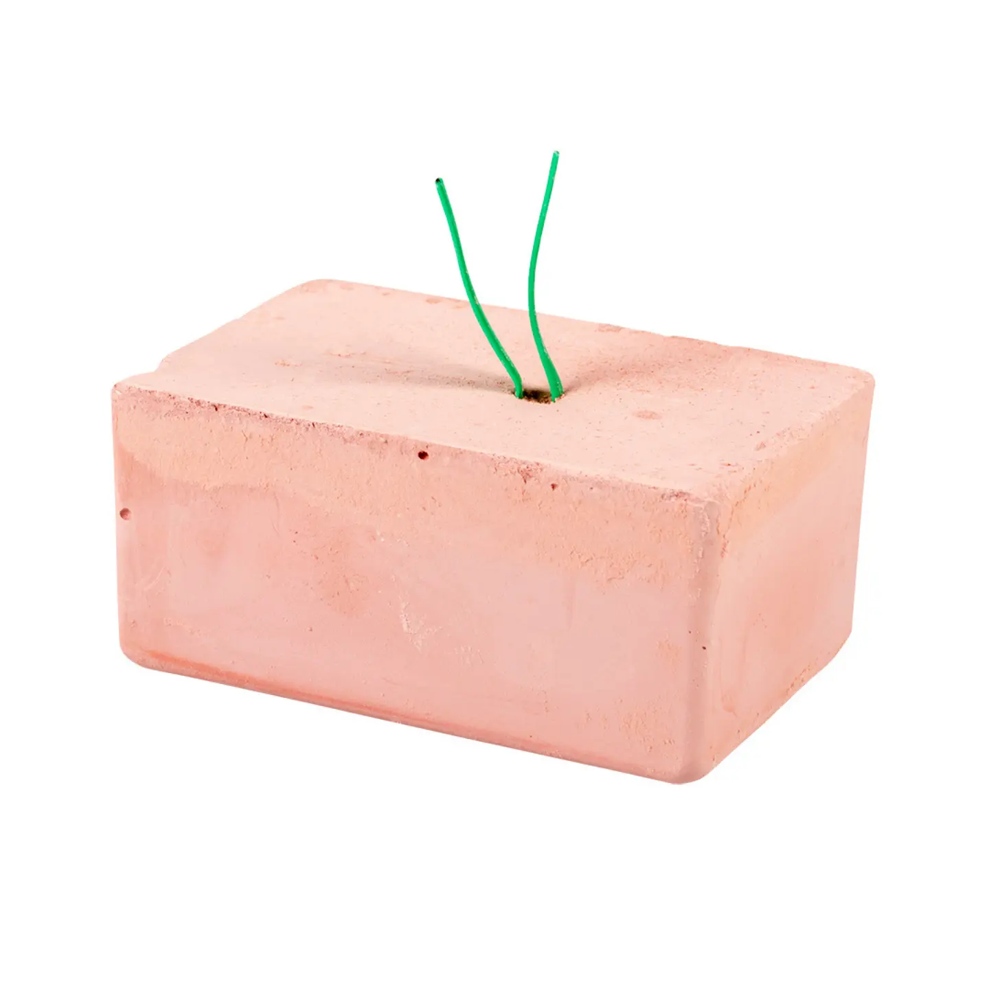 Energiblock och mineralblock för småfåglar