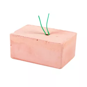 Energiblock och mineralblock för småfåglar